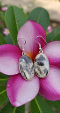 Oval Maligano Jasper Earrings, 925 Silver Plated, Charcoal Creamy Yellow Beige Stone